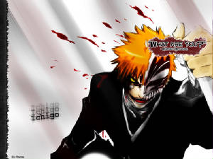 bleach2.jpg