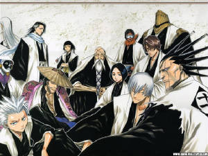 bleach3.jpg