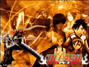 bleach4.jpg